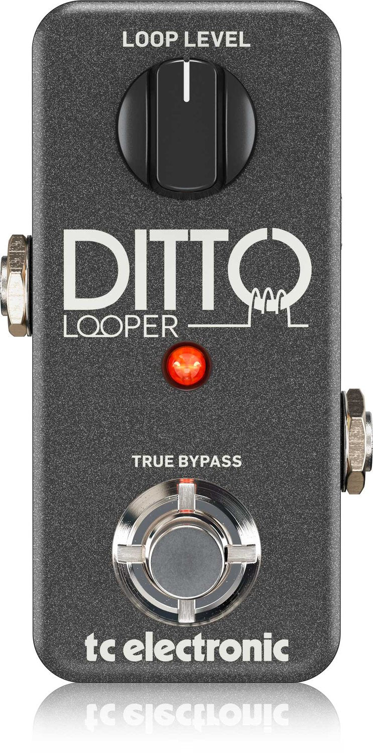 Pedal guitarra TC FX DITTO LOOPER