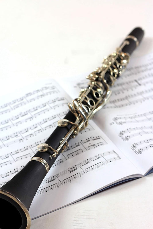 Clarinete Jupiter 17/6 SIB ebonite JCL-700NA