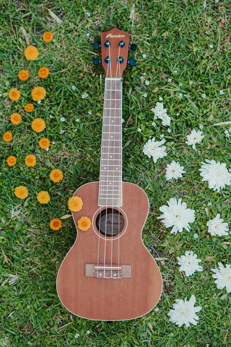 Ukelele concierto Bamboo Sapele Aquila U-23-SAPELE