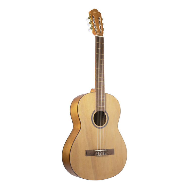 Guitarra Clásica Bamboo Color Natural C/funda Mod. Gc-39