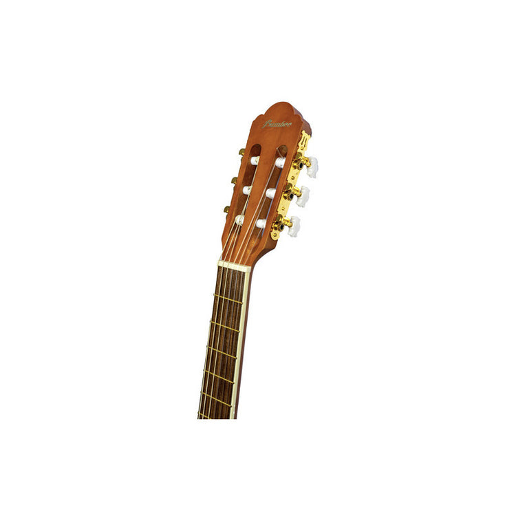 Guitarra clásica Bamboo con diseño GC-36-FELINE