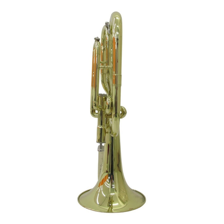 Saxor Blessing Alto Mib Laqueado Mod. 6490l-1